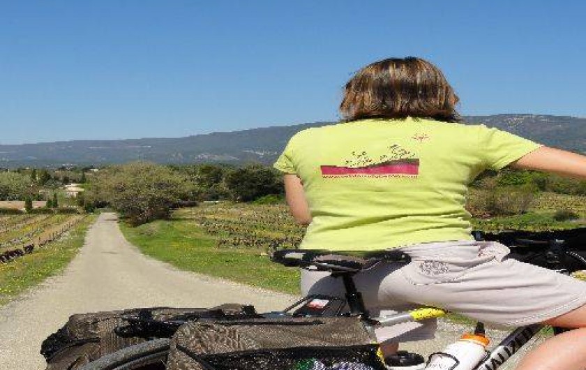 Location de vacances - Gîte à Villelaure