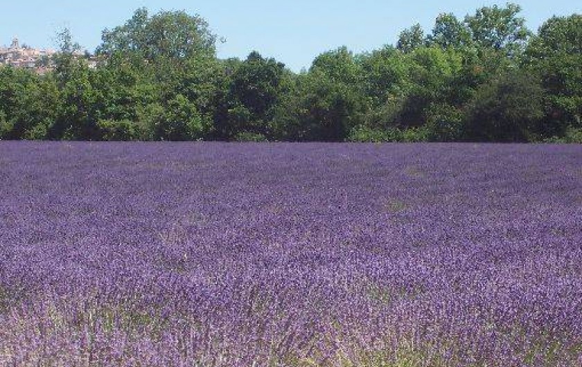 Location de vacances - Gîte à Villelaure