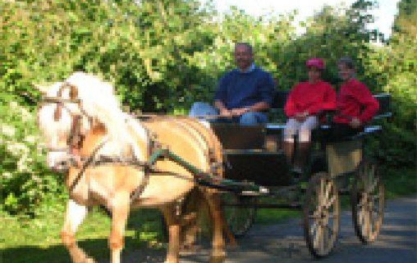 Location de vacances - Gîte à Margny-sur-Matz