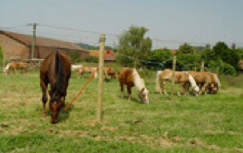 Location de vacances - Gîte à Margny-sur-Matz