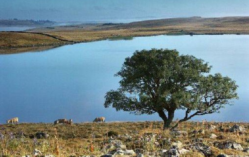 Location de vacances - Chalet à Saint-Chély-d'Aubrac