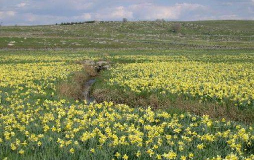 Location de vacances - Chalet à Saint-Chély-d'Aubrac