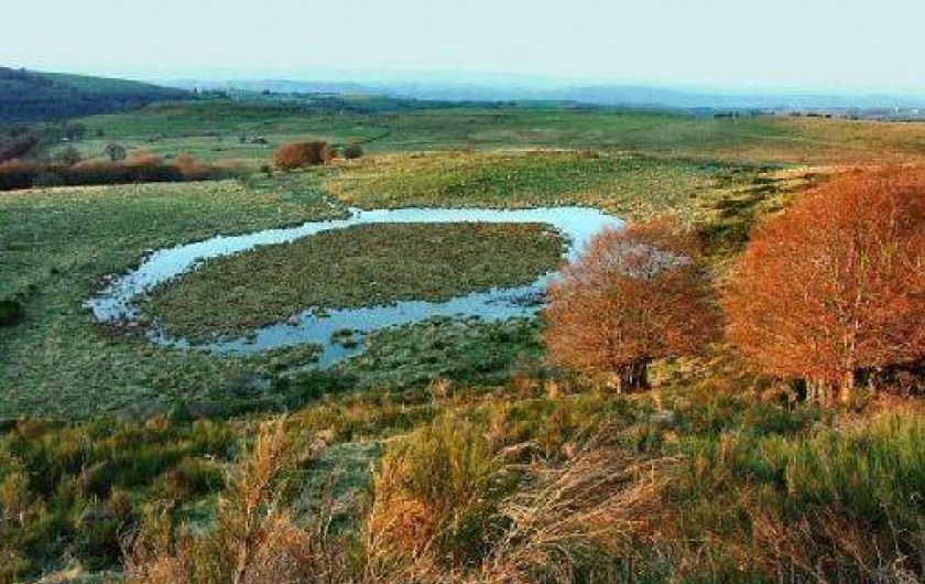 Location de vacances - Chalet à Saint-Chély-d'Aubrac