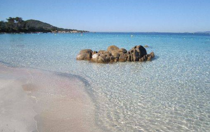 Location de vacances - Villa à Coti-Chiavari