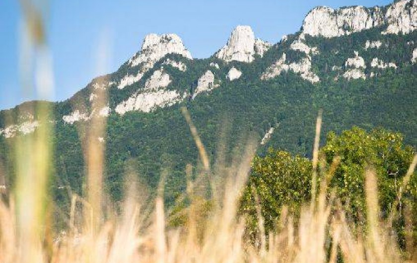 Location de vacances - Gîte à Saint-Paul