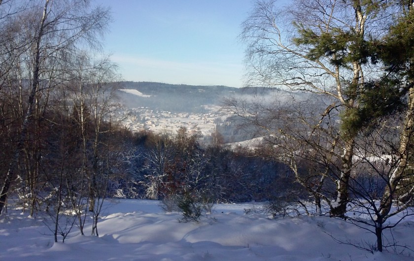 Location de vacances - Chalet à Le Tholy - Paysage d'hiver autour du chalet