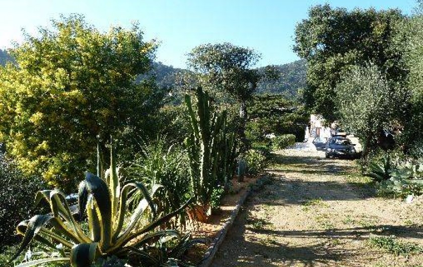 Location de vacances - Villa à Le Lavandou