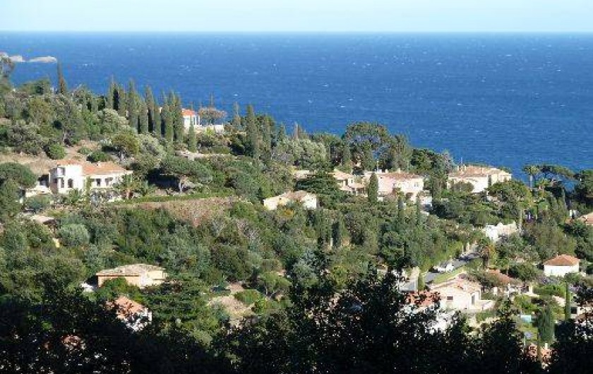 Location de vacances - Villa à Le Lavandou