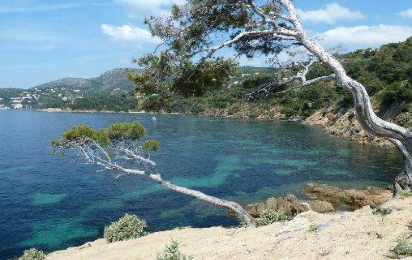 Location de vacances - Villa à Le Lavandou