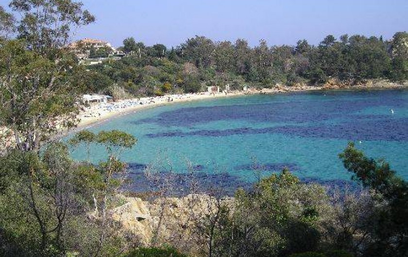 Location de vacances - Villa à Le Lavandou