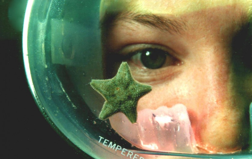 Location de vacances - Studio à Le Barcarès