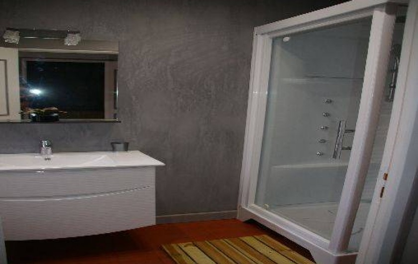 Location de vacances - Gîte à Saint-Aignan-sur-Cher