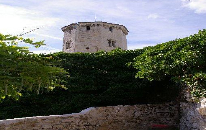 Location de vacances - Gîte à Saint-Aignan-sur-Cher