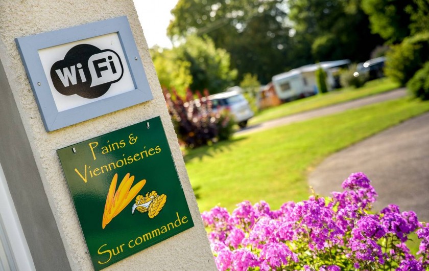 Location de vacances - Bungalow - Mobilhome à Le Bourg-Dun - vue