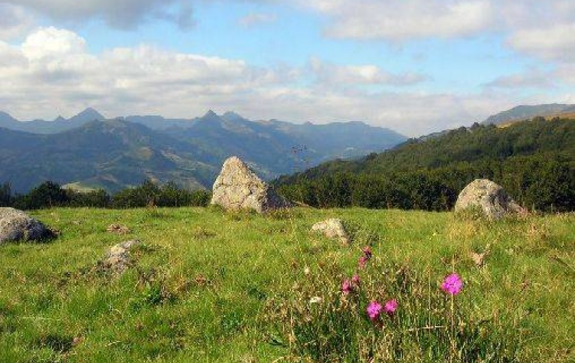 Location de vacances - Gîte à Jou-sous-Monjou