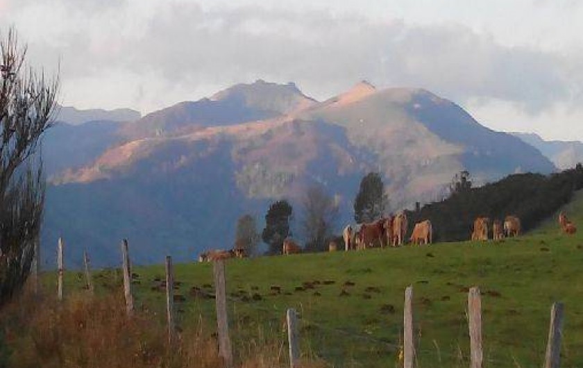 Location de vacances - Gîte à Jou-sous-Monjou