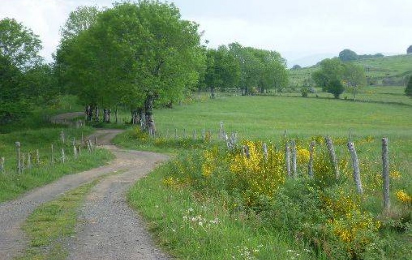 Location de vacances - Gîte à Jou-sous-Monjou
