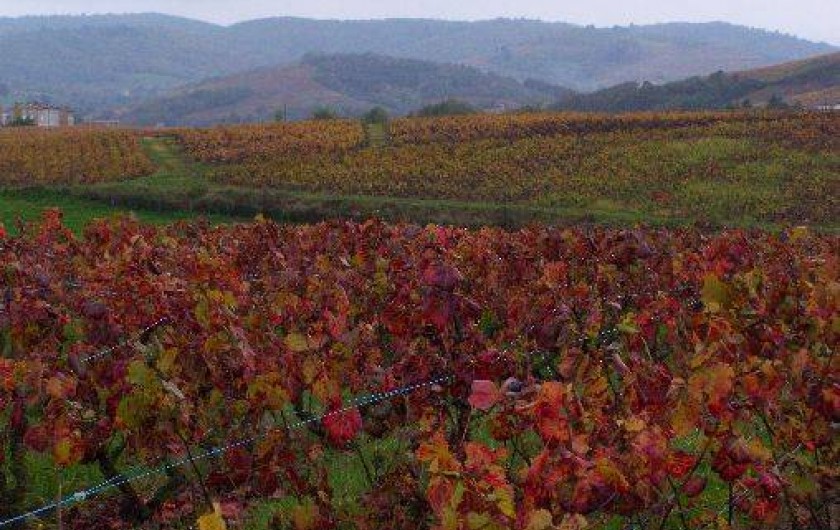 Location de vacances - Gîte à Salles-Arbuissonnas-en-Beaujolais