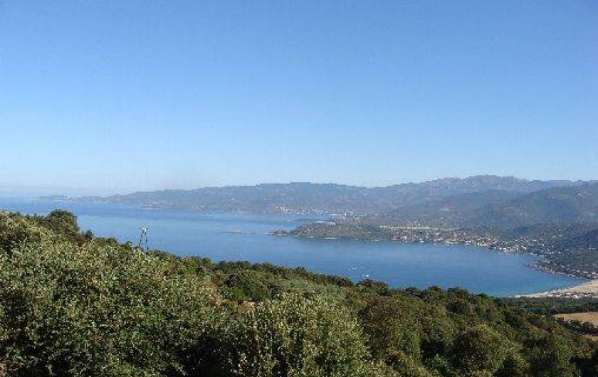 Location de vacances - Appartement à Calcatoggio