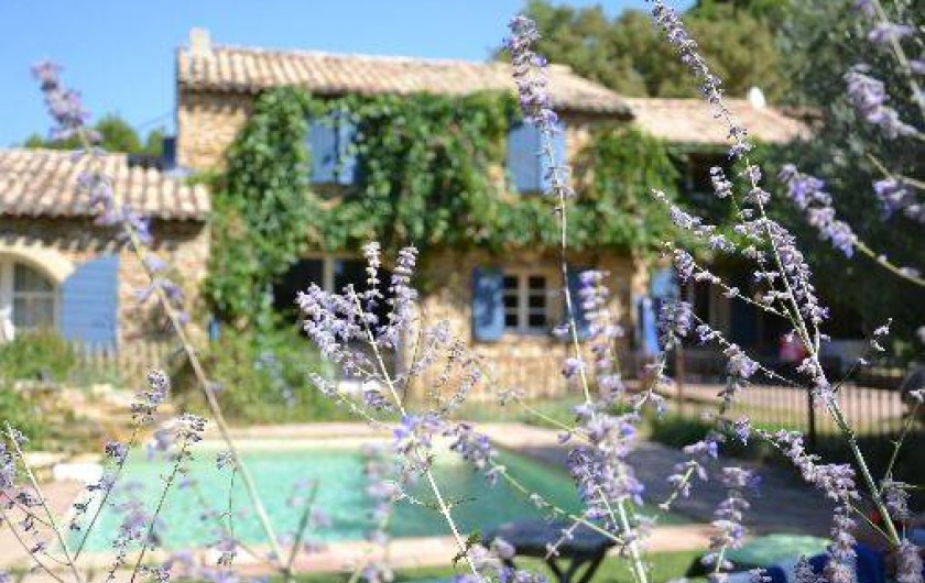 Location de vacances - Mas à Piolenc