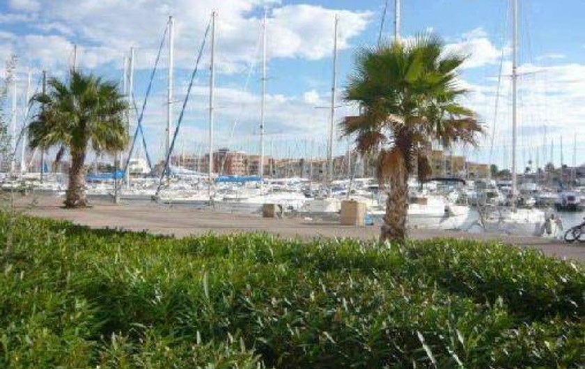 Location de vacances - Appartement à Port Leucate
