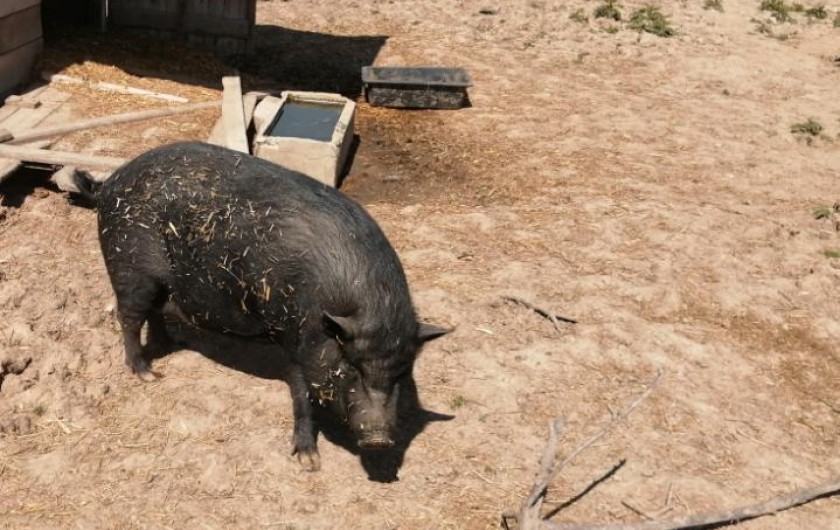 Location de vacances - Gîte à Verdelot