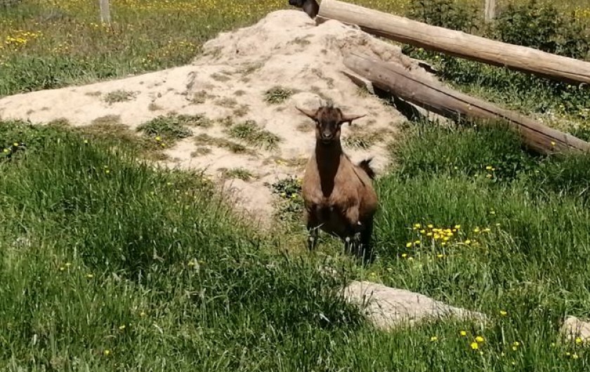 Location de vacances - Gîte à Verdelot