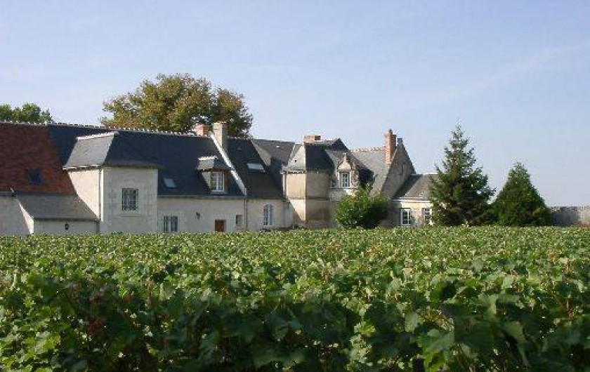 Location de vacances - Chambre d'hôtes à Vouvray