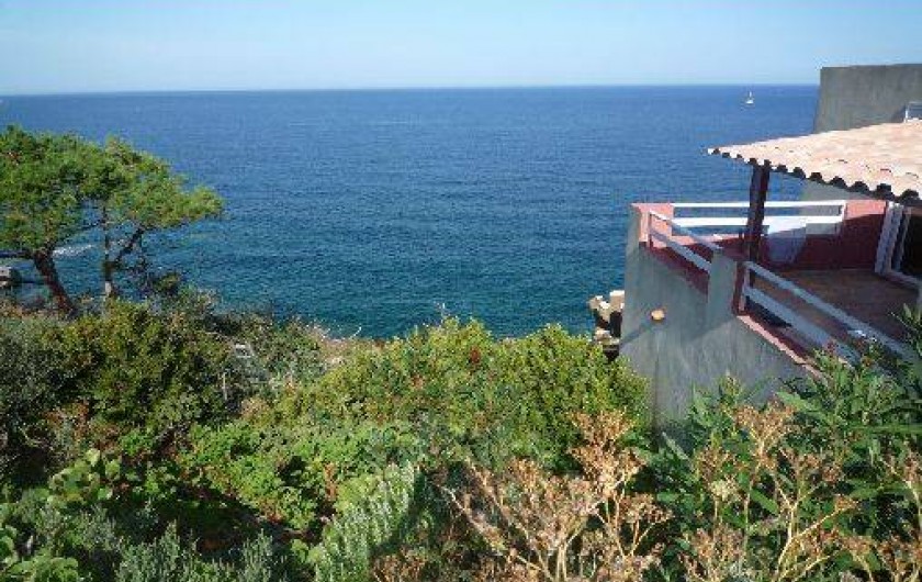 Location de vacances - Villa à Calvi