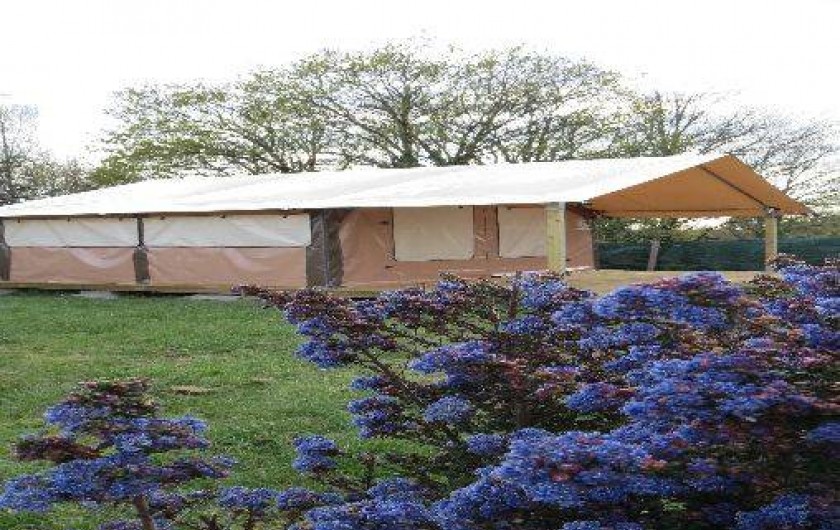 Location de vacances - Camping à Ambon