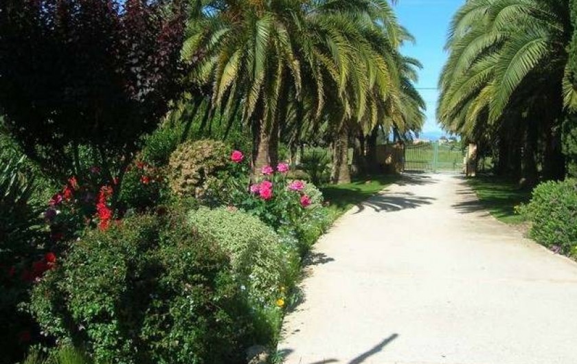 Location de vacances - Gîte à Saint-Cyprien - Entrée du mas