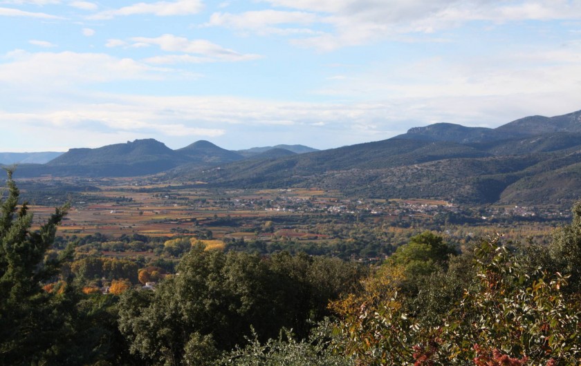 Location de vacances - Roulotte à Aniane - vue sur le vignoble