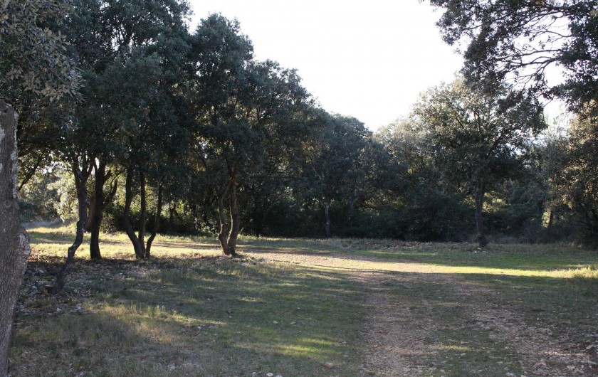 Location de vacances - Roulotte à Aniane - chemin derrière la roulotte