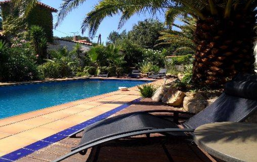 Location de vacances - Studio à Sorède