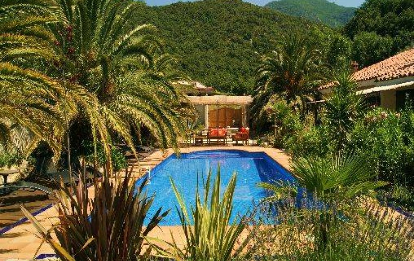 Location de vacances - Studio à Sorède