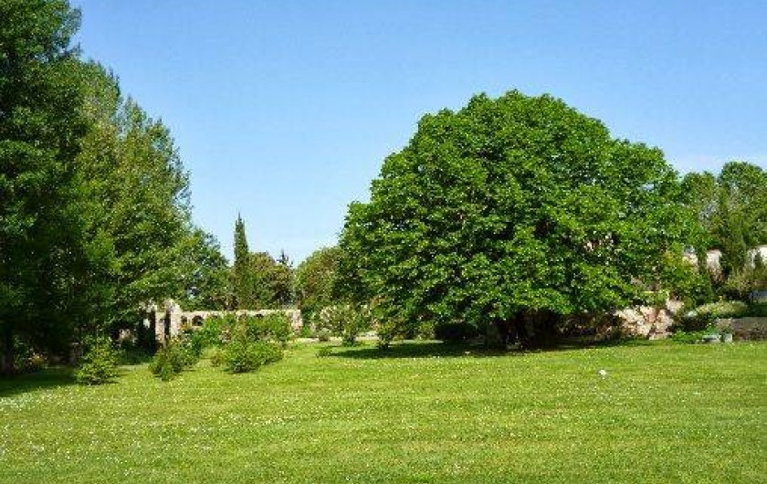 Location de vacances - Chambre d'hôtes à Sauve