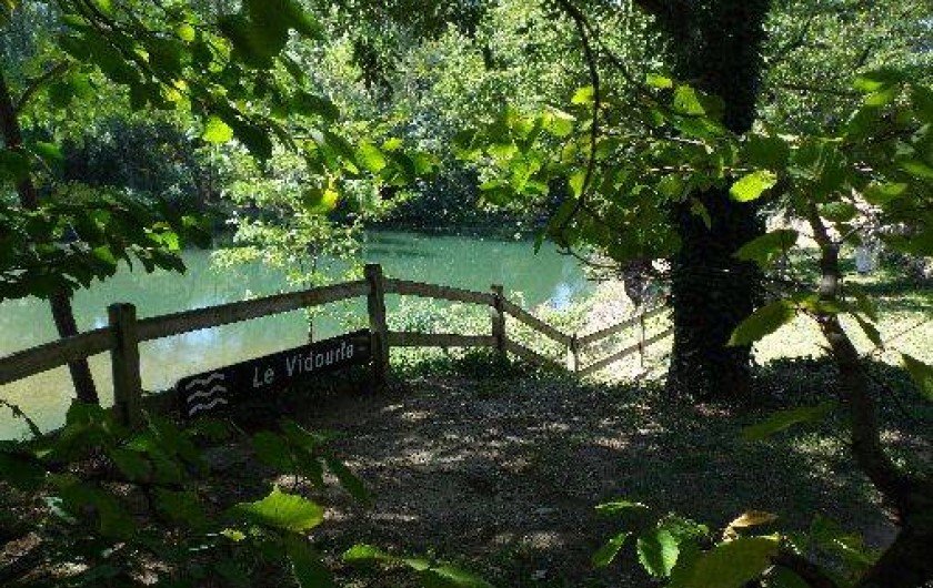 Location de vacances - Chambre d'hôtes à Sauve