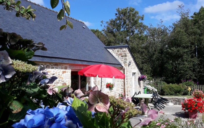Location de vacances - Gîte à Brélès - Dans la verdure..