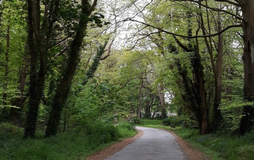 Location de vacances - Gîte à Brélès - Allée en direction du château.