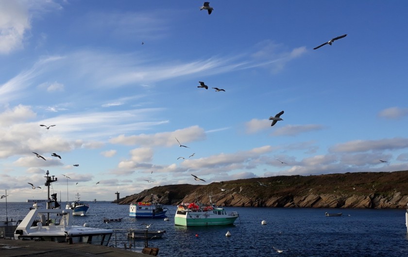 Location de vacances - Gîte à Brélès - Le port de pêche du Conquet..et embarcadère pour les îles