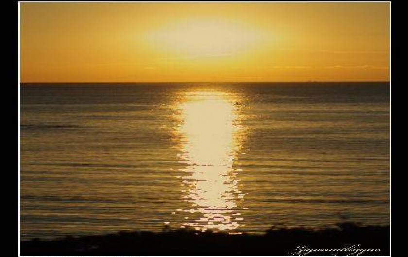 Location de vacances - Appartement à Saint-Aygulf