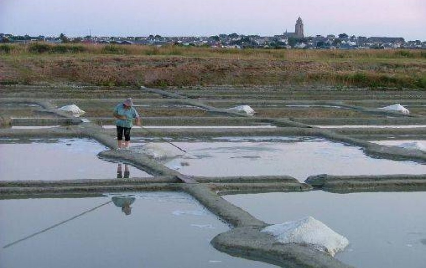 Location de vacances - Villa à Le Croisic
