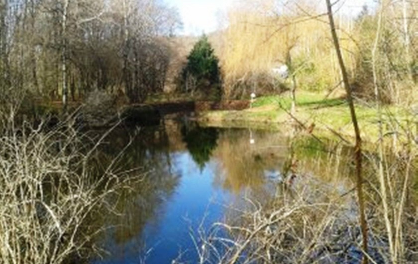 Location de vacances - Gîte à Terrasson-Lavilledieu - ETANG