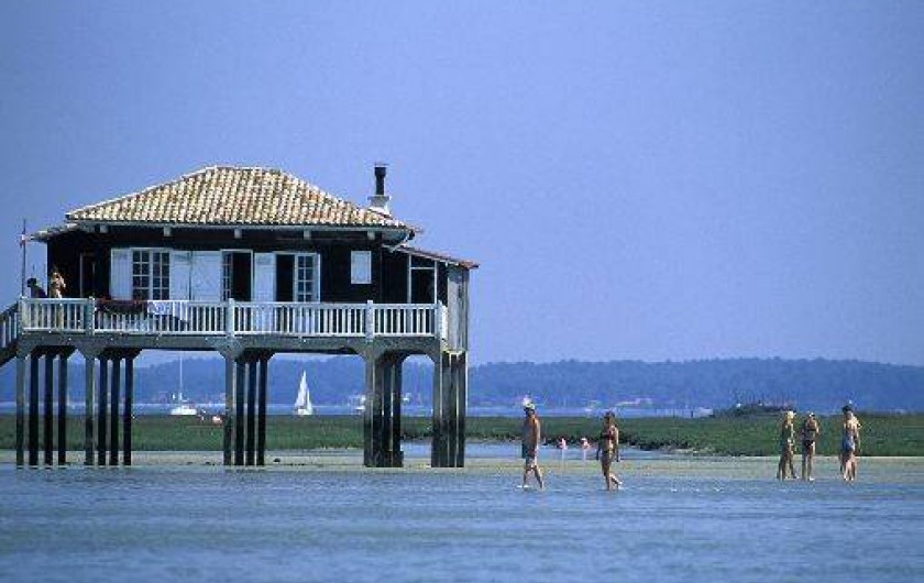Location de vacances - Gîte à Lacanau