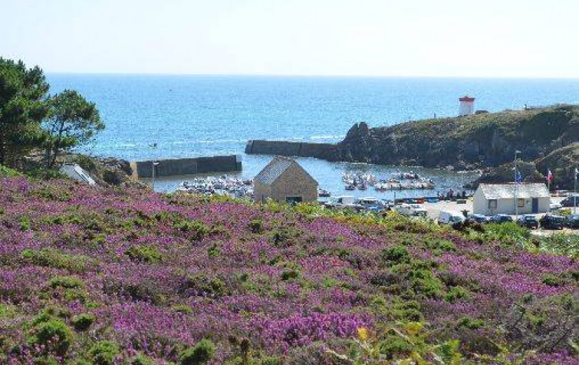 Location de vacances - Gîte à Plozévet