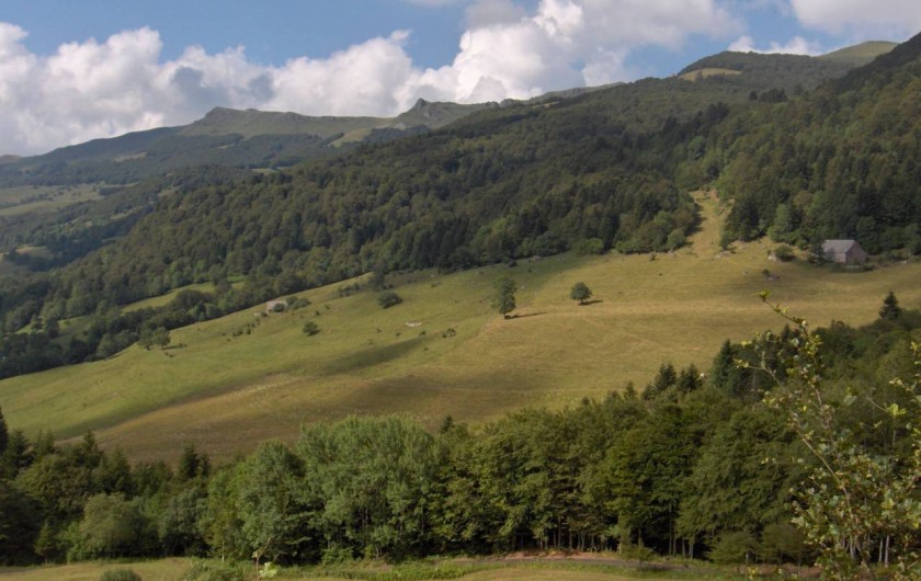 Location de vacances - Gîte à Le Falgoux - La vallée avoisinante