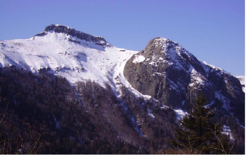 Location de vacances - Gîte à Le Falgoux - Vue de la maison en hiver
