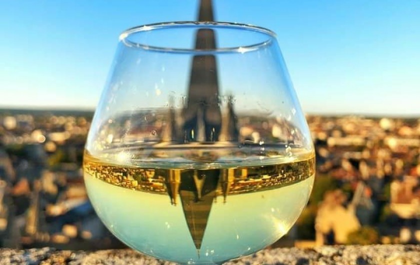 Location de vacances - Appartement à Dijon - La Bourgogne : région de vignobles