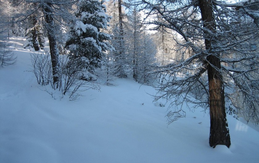 Location de vacances - Chalet à Station de Risoul 1850