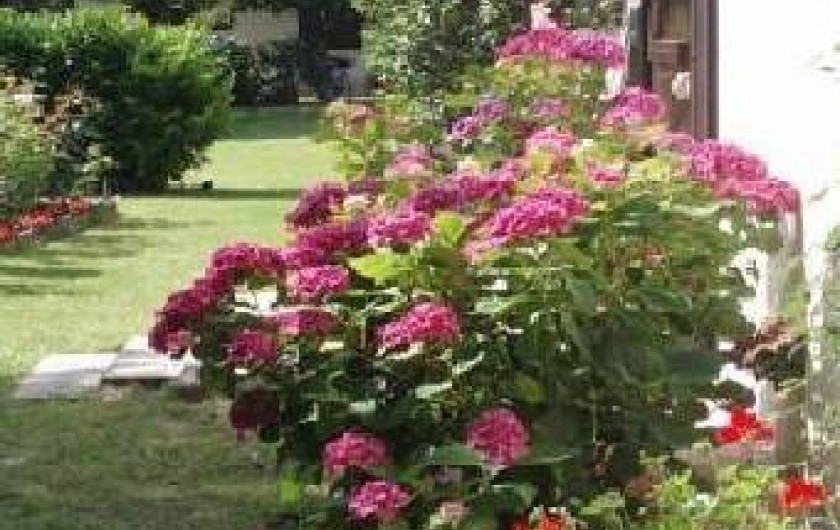 Location de vacances - Studio à Lacanau